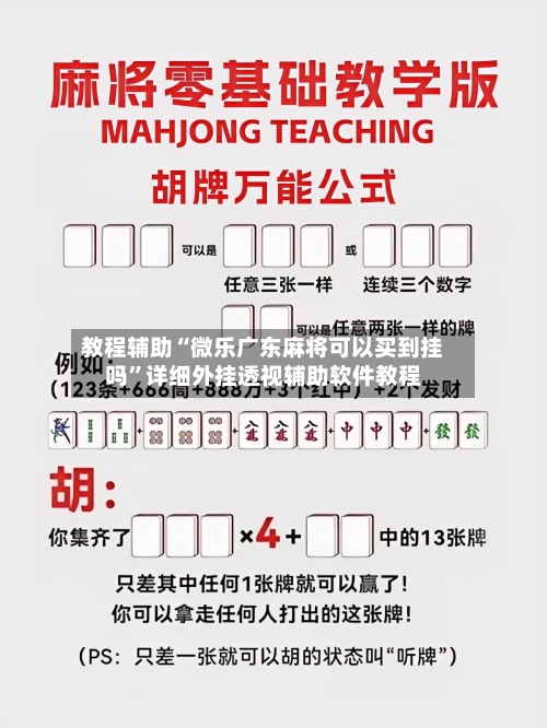 教程辅助“微乐广东麻将可以买到挂吗”详细外挂透视辅助软件教程-第3张图片