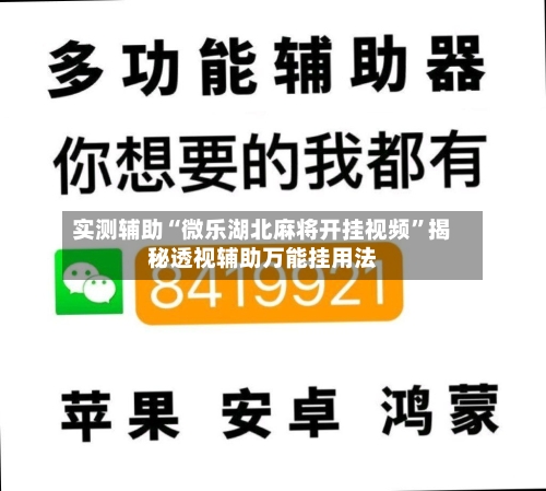 实测辅助“微乐湖北麻将开挂视频”揭秘透视辅助万能挂用法-第1张图片