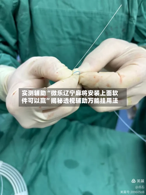 实测辅助“微乐辽宁麻将安装上面软件可以赢”揭秘透视辅助万能挂用法-第2张图片