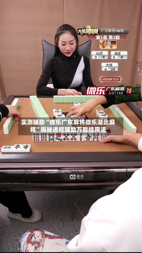 实测辅助“微乐广东麻将微乐湖北麻将	”揭秘透视辅助万能挂用法-第1张图片