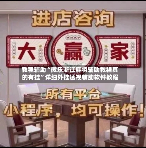 教程辅助“微乐浙江麻将辅助教程真的有挂”详细外挂透视辅助软件教程-第2张图片