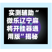 实测辅助“微乐辽宁麻将开挂器通用版”揭秘透视辅助万能挂用法-第2张图片