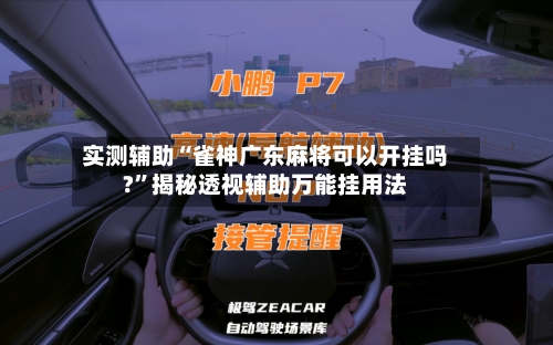 实测辅助“雀神广东麻将可以开挂吗?”揭秘透视辅助万能挂用法-第3张图片