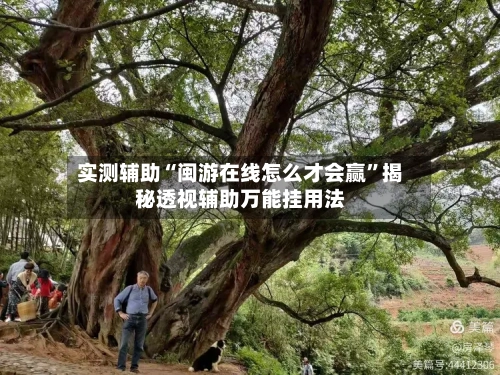 实测辅助“闽游在线怎么才会赢	”揭秘透视辅助万能挂用法-第3张图片