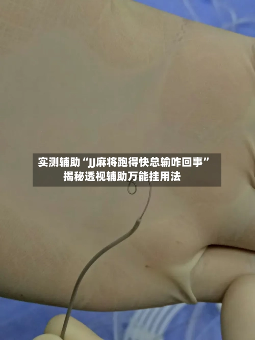 实测辅助“JJ麻将跑得快总输咋回事	”揭秘透视辅助万能挂用法-第1张图片