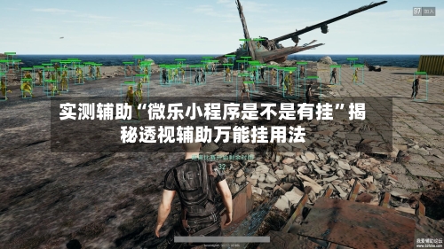 实测辅助“微乐小程序是不是有挂”揭秘透视辅助万能挂用法-第2张图片
