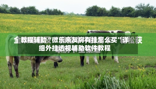 教程辅助“微乐亲友房有挂怎么买”详细外挂透视辅助软件教程-第1张图片