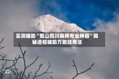 实测辅助“蜀山四川麻将专业神器	”揭秘透视辅助万能挂用法-第3张图片