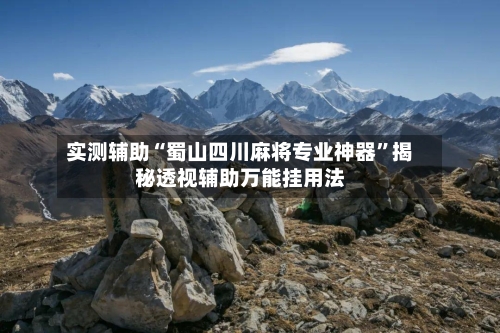 实测辅助“蜀山四川麻将专业神器”揭秘透视辅助万能挂用法-第1张图片