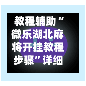 教程辅助“微乐湖北麻将开挂教程步骤	”详细外挂透视辅助软件教程-第1张图片