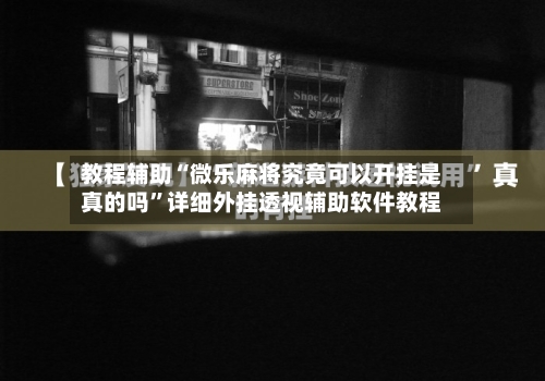 教程辅助“微乐麻将究竟可以开挂是真的吗”详细外挂透视辅助软件教程-第3张图片