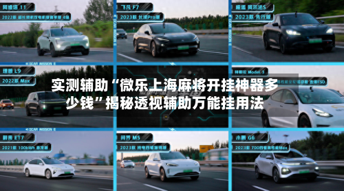 实测辅助“微乐上海麻将开挂神器多少钱”揭秘透视辅助万能挂用法-第1张图片