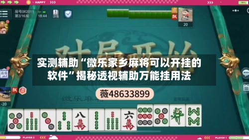 实测辅助“微乐家乡麻将可以开挂的软件”揭秘透视辅助万能挂用法-第2张图片