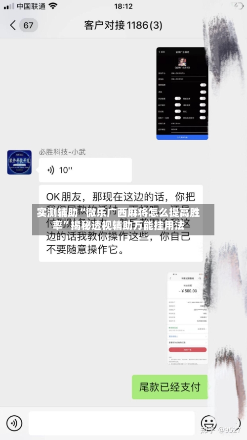 实测辅助“微乐广西麻将怎么提高胜率”揭秘透视辅助万能挂用法-第1张图片