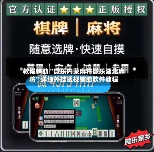 教程辅助“微乐内蒙麻将微乐湖北麻将”详细外挂透视辅助软件教程-第2张图片
