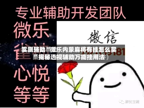实测辅助“微乐内蒙麻将有挂怎么买”揭秘透视辅助万能挂用法-第2张图片
