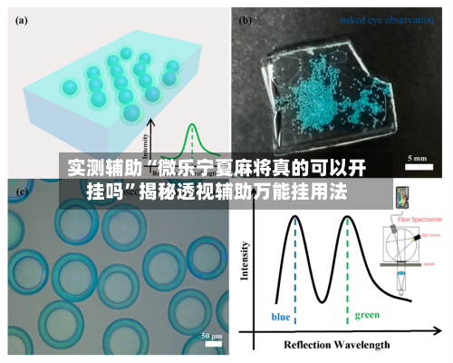 实测辅助“微乐宁夏麻将真的可以开挂吗”揭秘透视辅助万能挂用法-第2张图片
