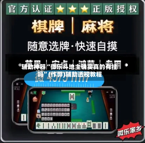 辅助神器“微乐斗地主确实真的有挂吗”(作弊)辅助透视教程-第2张图片