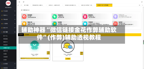 辅助神器“微信链接金花作弊辅助软件”(作弊)辅助透视教程-第3张图片