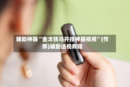 辅助神器“金戈铁马开挂神器视频”(作弊)辅助透视教程-第2张图片