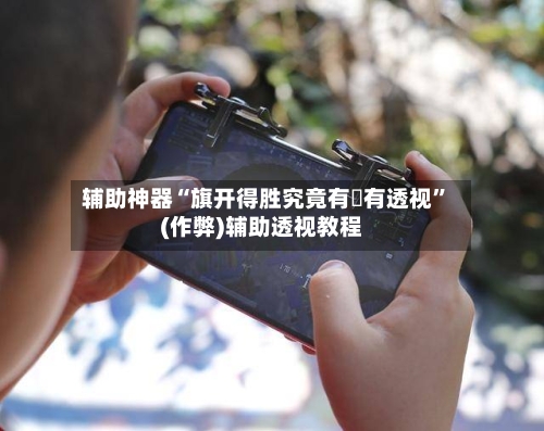 辅助神器“旗开得胜究竟有沒有透视”(作弊)辅助透视教程-第3张图片