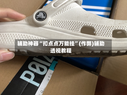 辅助神器“扣点点万能挂	”(作弊)辅助透视教程-第3张图片