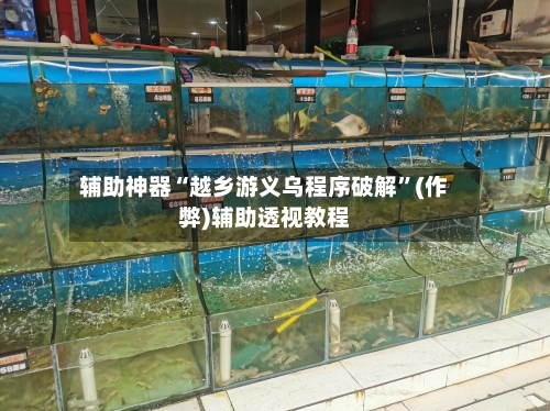 辅助神器“越乡游义乌程序破解”(作弊)辅助透视教程-第1张图片