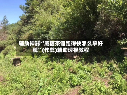 辅助神器“威信茶馆跑得快怎么拿好牌”(作弊)辅助透视教程-第2张图片