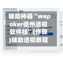 辅助神器“wepoker德州透视软件挂	”(作弊)辅助透视教程-第3张图片