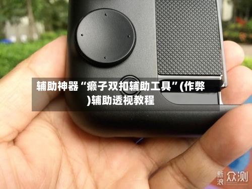 辅助神器“癞子双扣辅助工具”(作弊)辅助透视教程-第2张图片