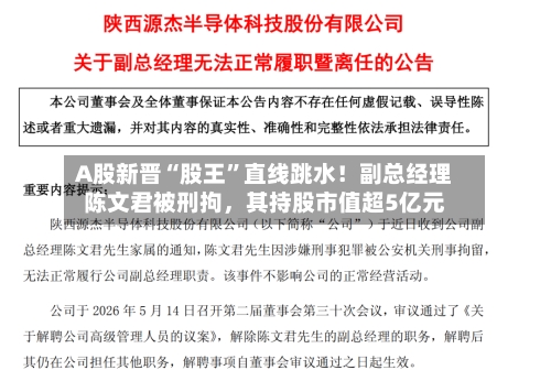 A股新晋“股王”直线跳水！副总经理陈文君被刑拘	，其持股市值超5亿元-第1张图片