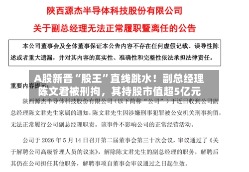A股新晋“股王	”直线跳水！副总经理陈文君被刑拘，其持股市值超5亿元-第2张图片