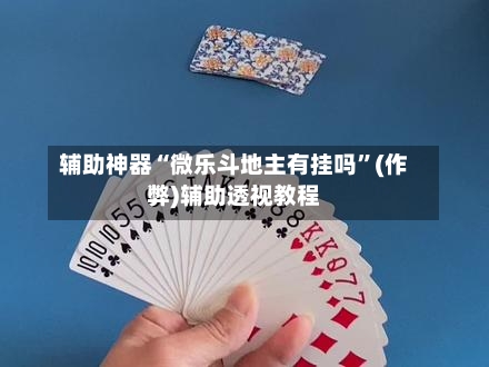 辅助神器“微乐斗地主有挂吗”(作弊)辅助透视教程-第2张图片