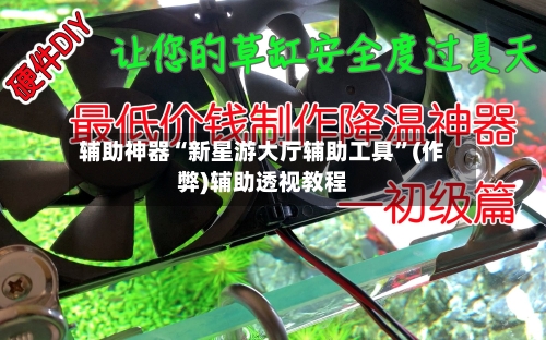 辅助神器“新星游大厅辅助工具”(作弊)辅助透视教程-第2张图片