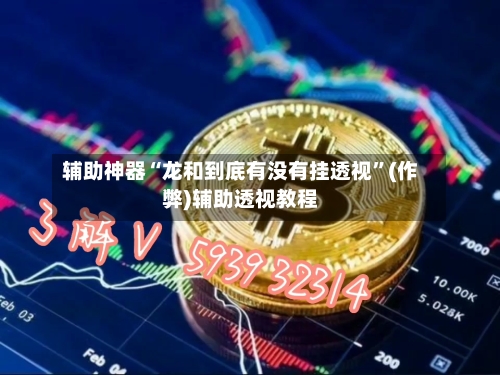 辅助神器“龙和到底有没有挂透视”(作弊)辅助透视教程-第2张图片