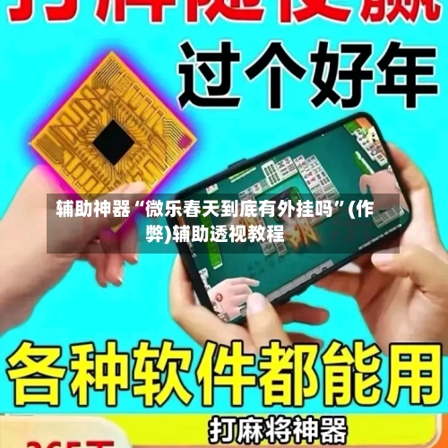辅助神器“微乐春天到底有外挂吗”(作弊)辅助透视教程-第2张图片