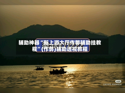 辅助神器“新上游大厅作弊辅助挂教程”(作弊)辅助透视教程-第3张图片