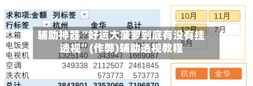 辅助神器“好运大菠萝到底有没有挂透视	”(作弊)辅助透视教程-第1张图片