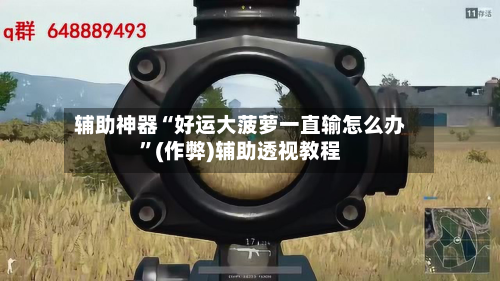 辅助神器“好运大菠萝一直输怎么办”(作弊)辅助透视教程-第1张图片