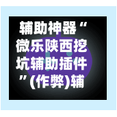 辅助神器“微乐陕西挖坑辅助插件”(作弊)辅助透视教程-第1张图片