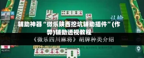 辅助神器“微乐陕西挖坑辅助插件	”(作弊)辅助透视教程-第3张图片