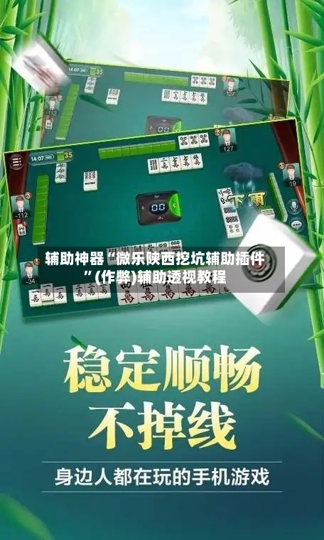 辅助神器“微乐陕西挖坑辅助插件”(作弊)辅助透视教程-第2张图片