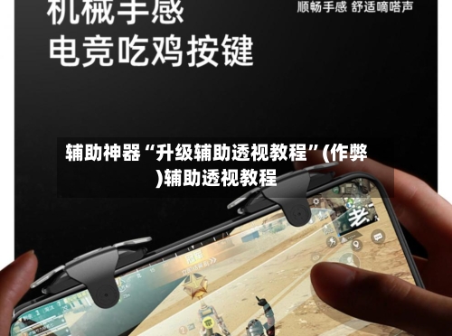 辅助神器“升级辅助透视教程”(作弊)辅助透视教程-第2张图片