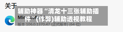 辅助神器“清龙十三张辅助插件”(作弊)辅助透视教程-第1张图片