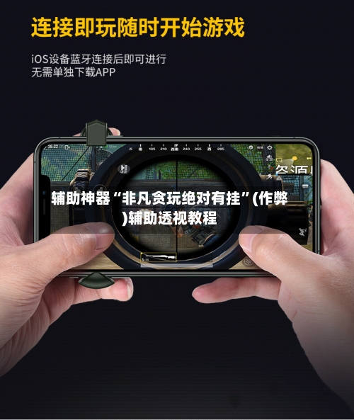 辅助神器“非凡贪玩绝对有挂”(作弊)辅助透视教程-第2张图片