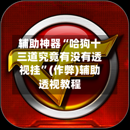 辅助神器“哈狗十三道究竟有没有透视挂”(作弊)辅助透视教程-第2张图片