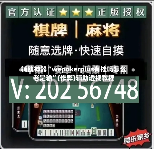 辅助神器“wepokerplus有挂吗怎么老是输”(作弊)辅助透视教程-第2张图片