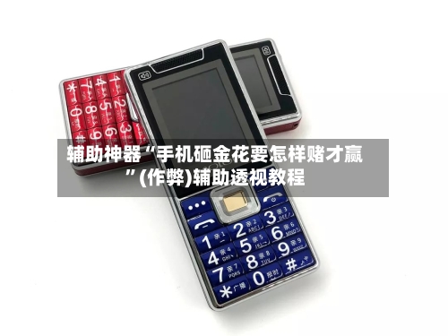 辅助神器“手机砸金花要怎样赌才赢”(作弊)辅助透视教程-第3张图片