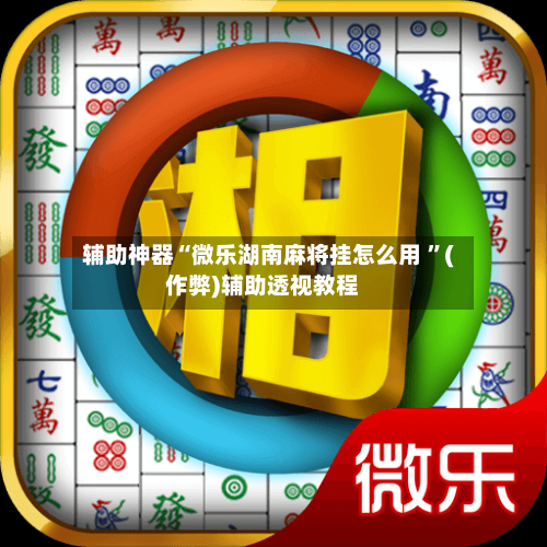 辅助神器“微乐湖南麻将挂怎么用 ”(作弊)辅助透视教程-第2张图片