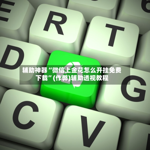 辅助神器“微信上金花怎么开挂免费下载”(作弊)辅助透视教程-第2张图片
